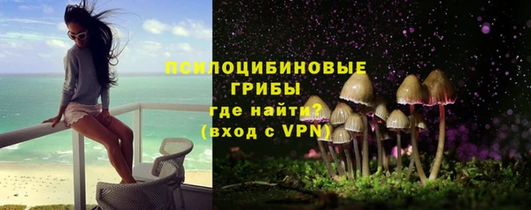 прущие крисы Абаза