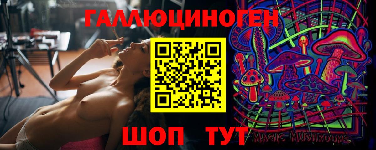 Азнакаево  Псилоцибиновые грибы Psilocybine cubensis  Вход с VPN  Галлюциногенные грибы мицелий 